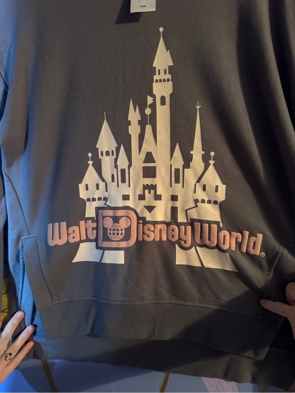 Disney Men's Gray Crewneck Sweatshirt with Pink Walt Disney World Logo